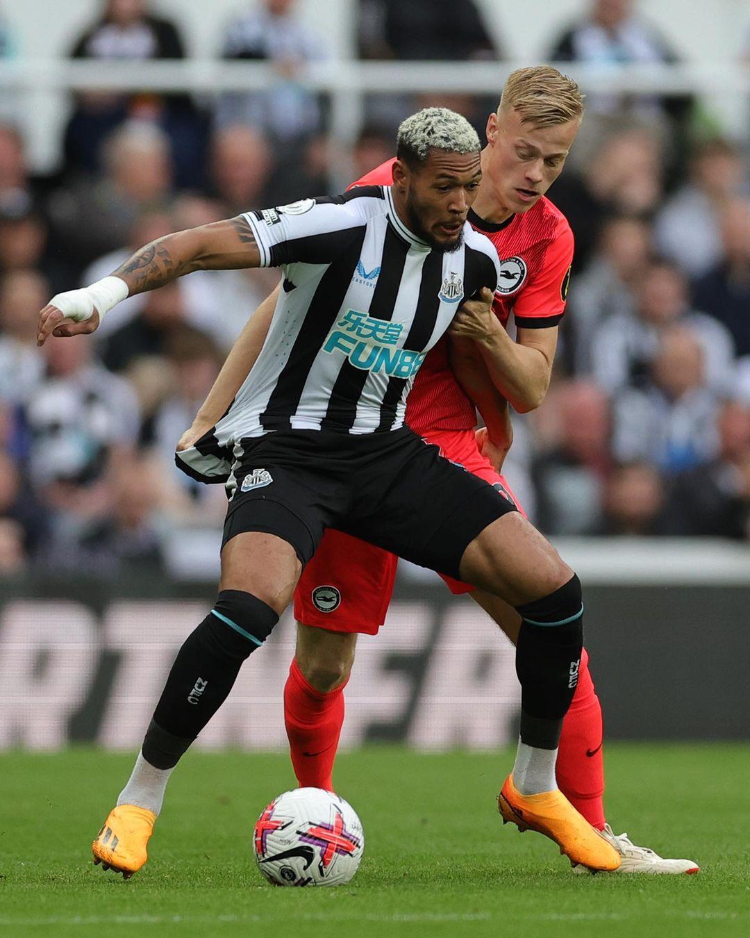 老牌强队相 老牌强队相